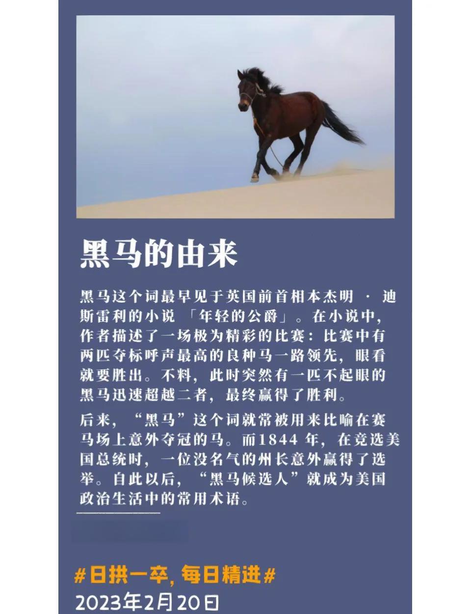非洲足球风云再起，一支黑马横空出世的简单介绍