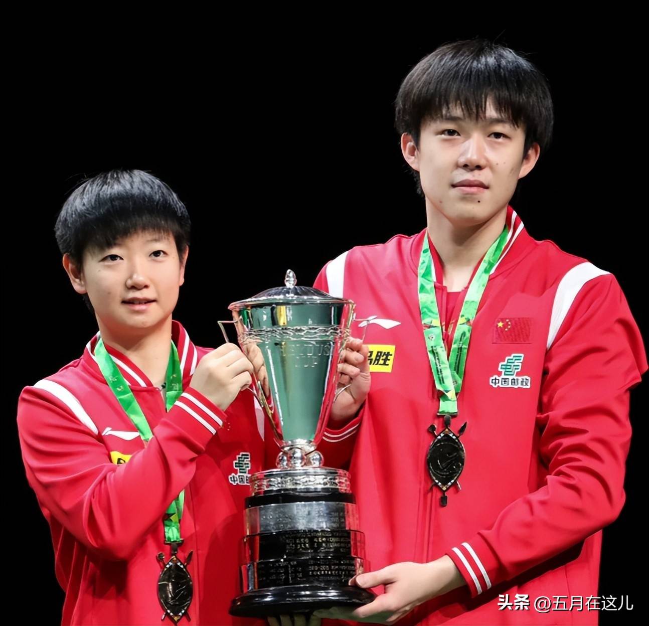 波兰乒乓球队绝杀瑞典乒乓球队，马龙统治全场的简单介绍