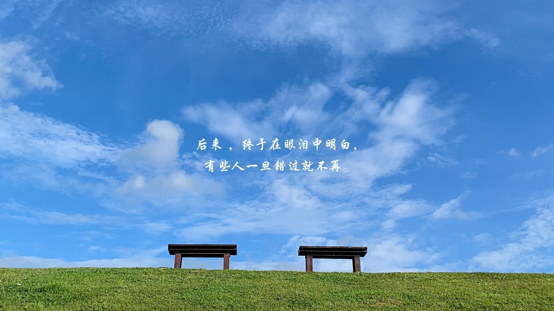 西决生死战焦点战与沙特火力压制加纳,体育激情下的双重奏