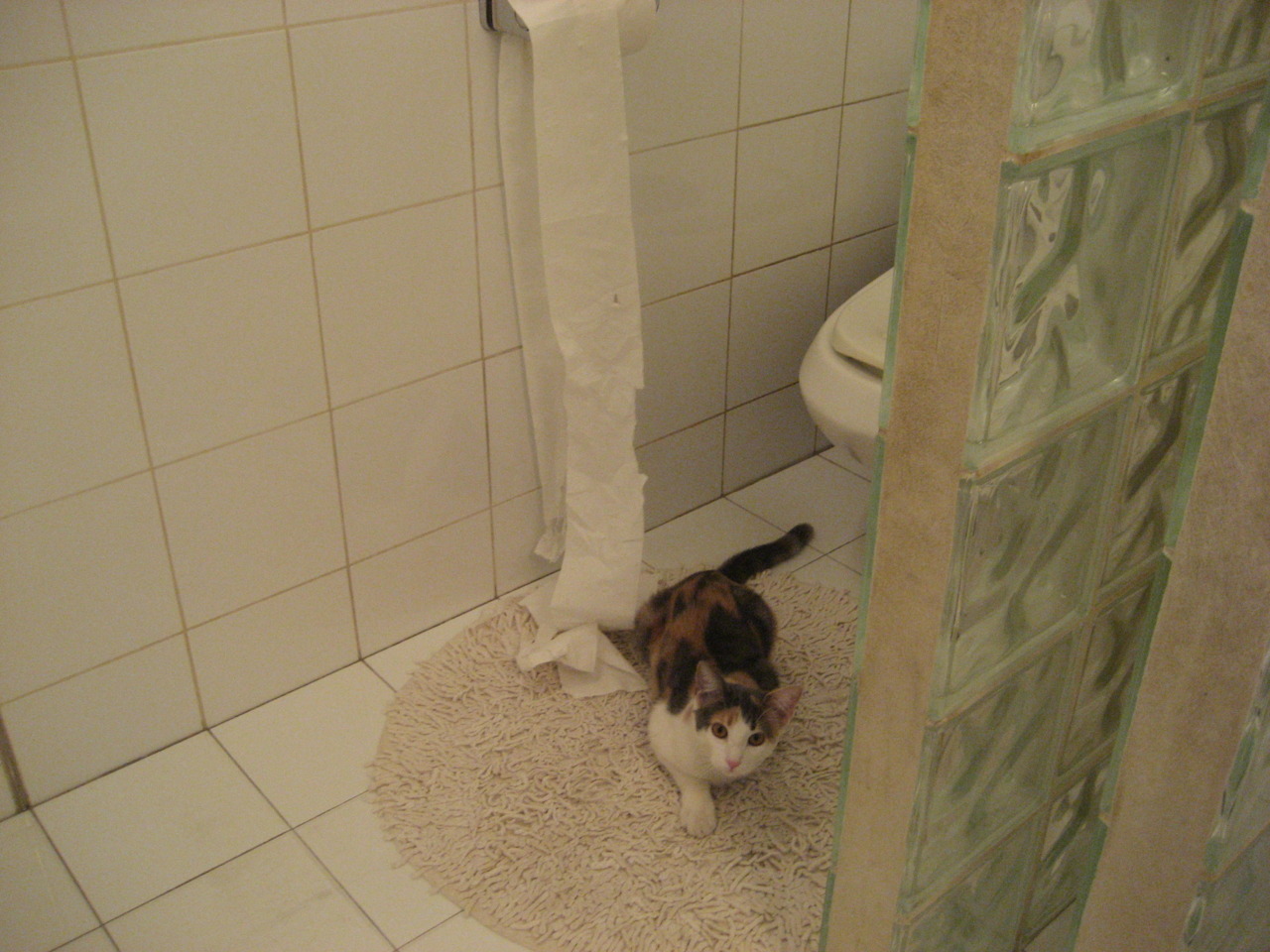 尖刺与利刃，当黄蜂的毒刺刺穿公牛，欧文的利刃划破半决赛夜空