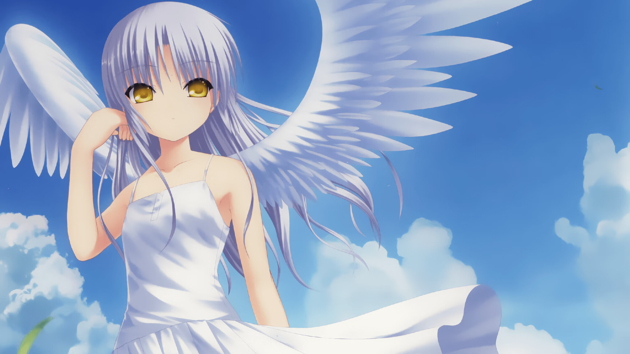 南美猎手与黄金航线，摩纳哥的巴西攻略，凯塞多为何是点睛之笔？