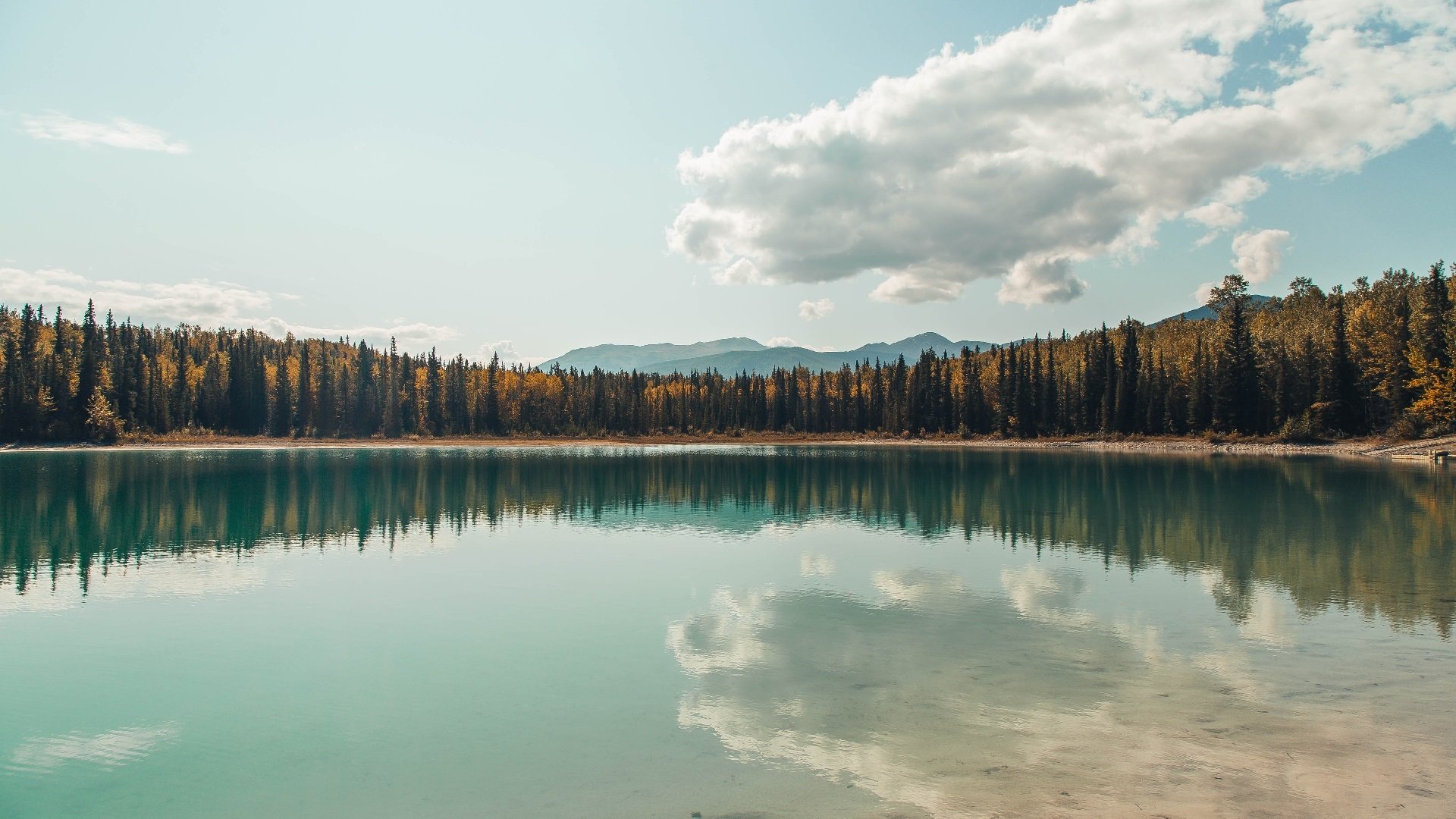 欧冠淘汰赛之夜，坎特末节神奇接管，演绎中场大师的传奇