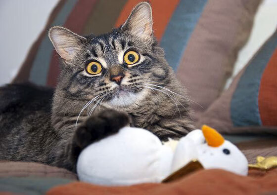 开云体育app-波兰鏖战哥伦比亚，托尼临危救主，成关键先生