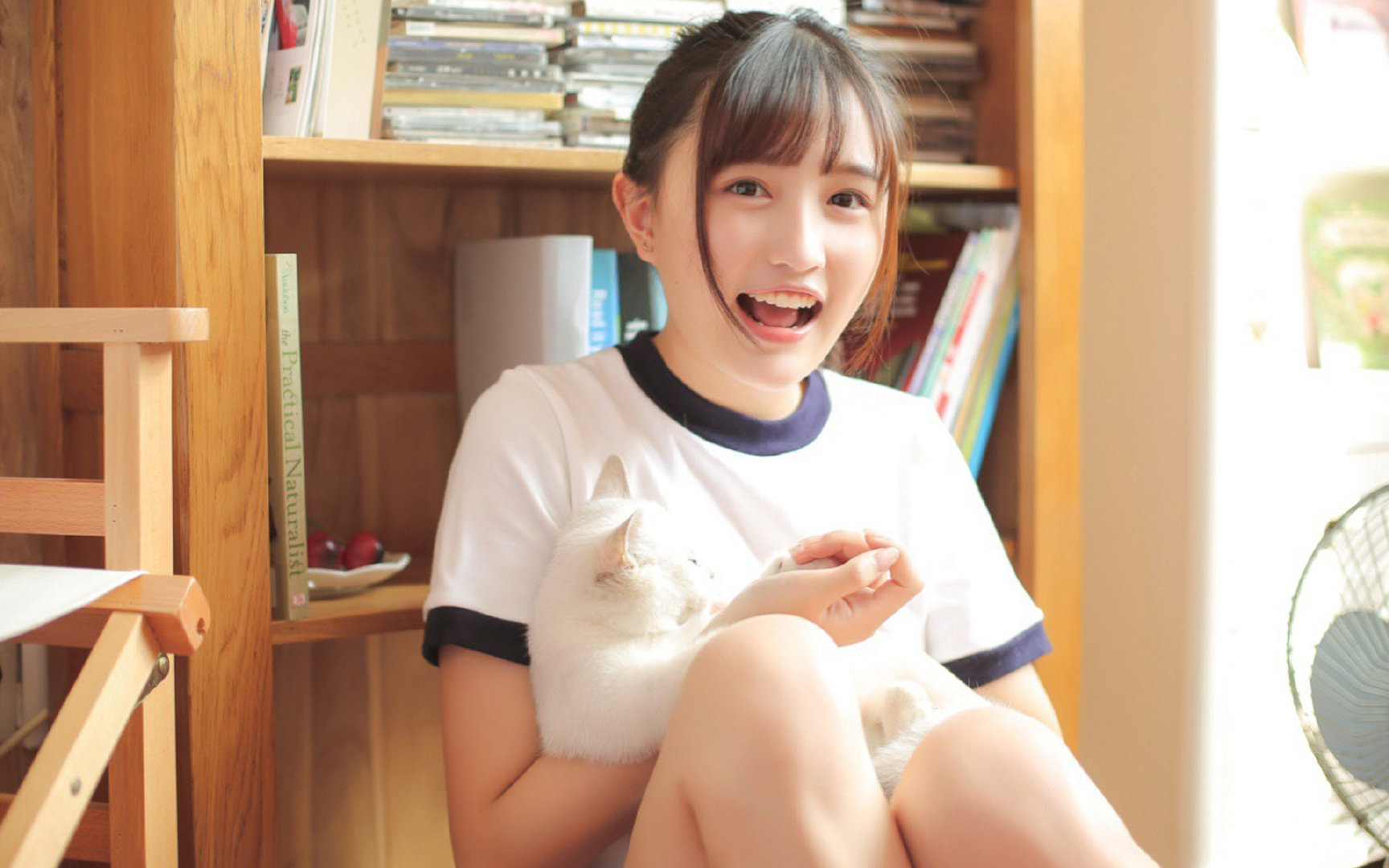 德甲争冠战焦点战与荷兰加时取胜日本,足球之夜的激情、悬念与全球共鸣