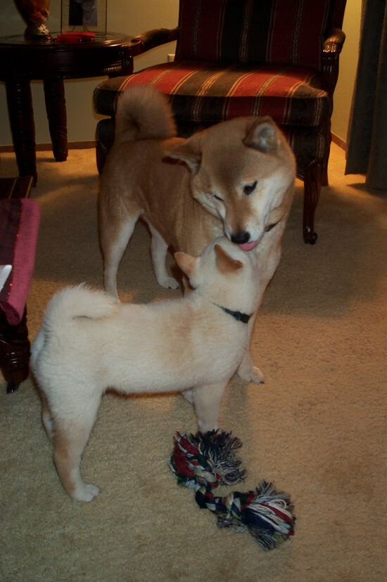 开云下载-终场绝响，德布劳内在奥运周期关键战的冰与火之歌