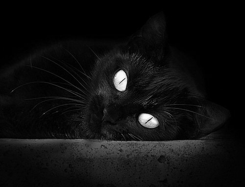 绿茵烽火与篮坛风云,西甲国家德比激战未歇,广东队轻取公牛再写传奇