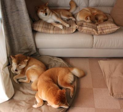 数据狂潮下的战术革命,佩德里如何用全面爆炸定义巴黎对阵阿森纳的新篇章?